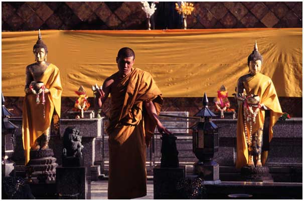 Wat Phra That Doi Tung, Doi Tung